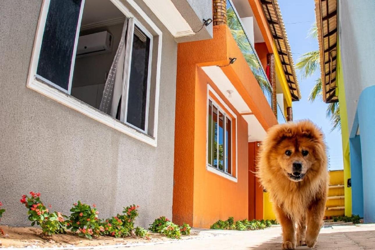 Hotel Dunas Vila クムブコ エクステリア 写真